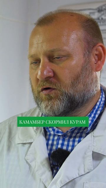 Огромная Ошибка в Приготовлении Козьего Сыра #рецепты #сыр смотреть онлайн