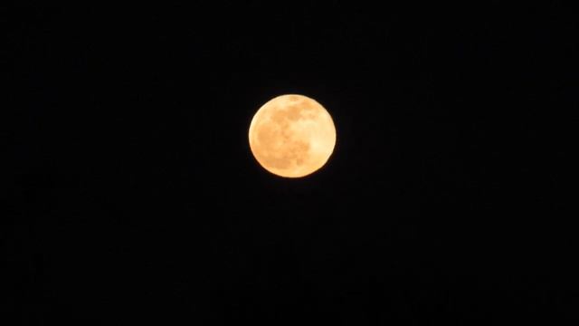 Full Moon 01/10/2020