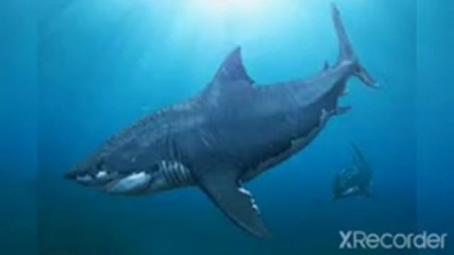 Julia vs Megalodon image #shorts смотреть онлайн