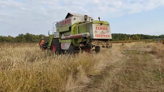 Claas mega 218🌻 смотреть онлайн