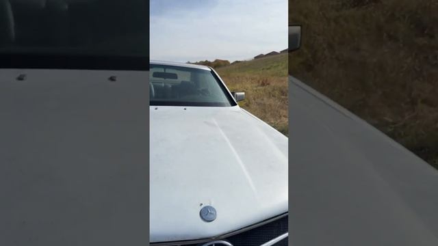 Машина, о которой в 80-х мечтали все #мерседес #560sec #retrocars #amg #спорткар #auto #car #мерин