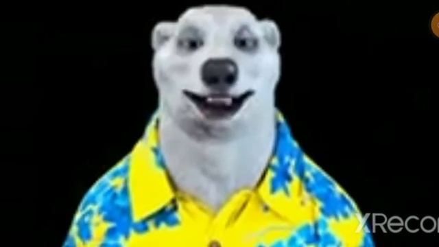 завтра 27 ноября нам всем конец /ходилки бродилки мем смотреть онлайн