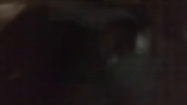 Vernita Climbing out the window LMAO смотреть онлайн