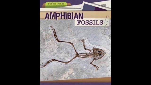 That's Not An Alligator смотреть онлайн