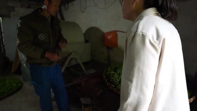 深入黄山毛峰核心直坑村，遇到真正柴烧纯手工的土种绿茶，太难得了 смотреть онлайн