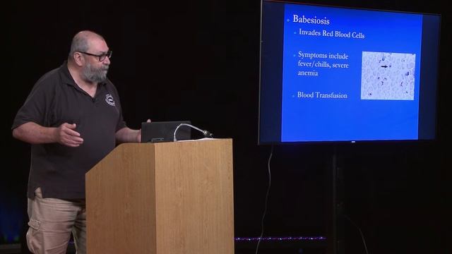 Tick Talk: Sept 30, 2017 смотреть онлайн