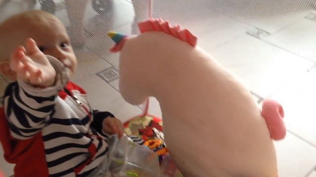 Каляска Kuschall@bdz_hilka_motia смотреть онлайн