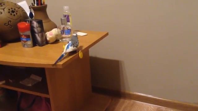 Внимание, цель обнаружен ))) смотреть онлайн