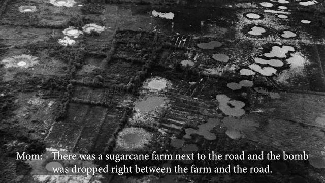 How my mom survived being bombed by the USA | Vietnam War Story смотреть онлайн