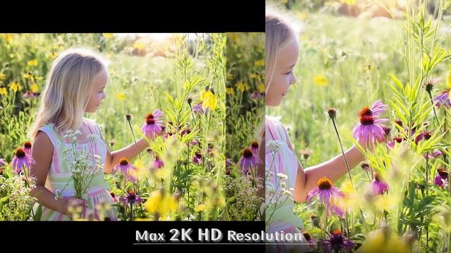 Vicom Security Camera FI-362B смотреть онлайн