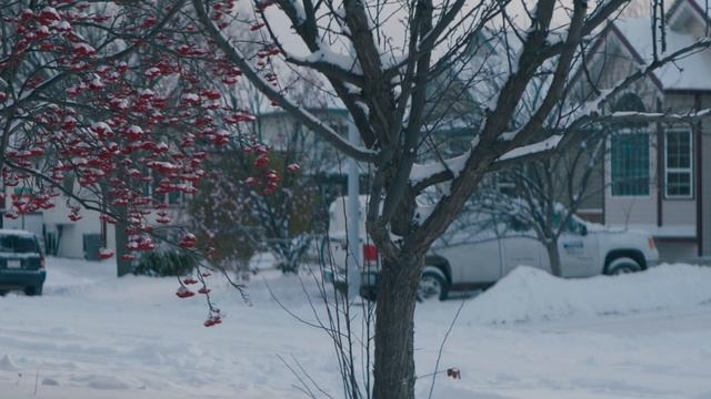 Snowy Street with Jupiter 37a & Super Cinelux - Colour смотреть онлайн