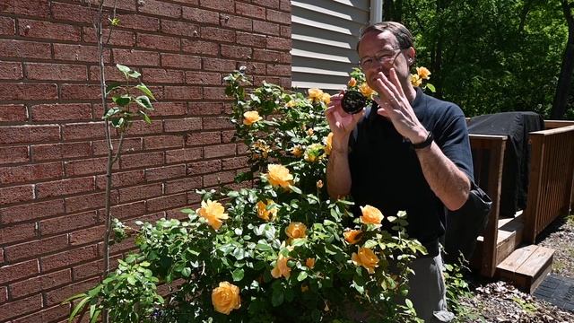 Using the polarizer for flower images - Today's Photo Minute Video #21 смотреть онлайн