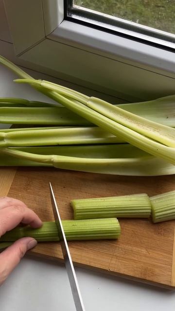 Вкуснейший маринованный сельдерей. #food #diy смотреть онлайн
