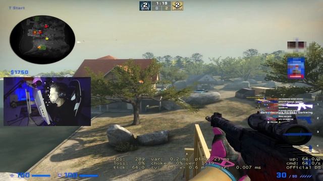 тактика питерский голубь смотреть онлайн