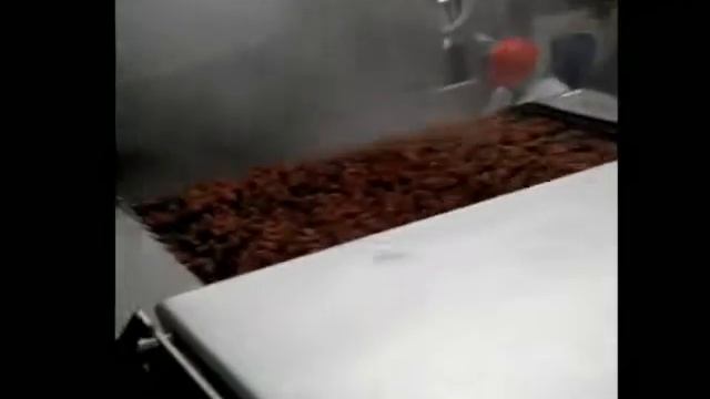 157 Свиной фарш спиральная печь Spiral Oven Bacon Bits Olymel Large смотреть онлайн