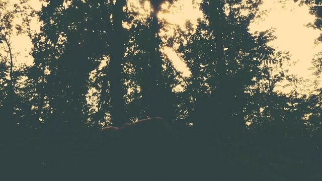 Планета искусств INTERPLAY - Forest Child