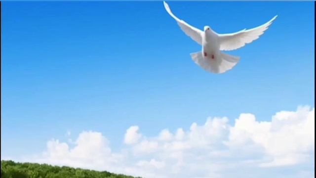 Баллада в память о Юре Шатунове #юрашатунов #шатунов #памятиюрияшатунова смотреть онлайн