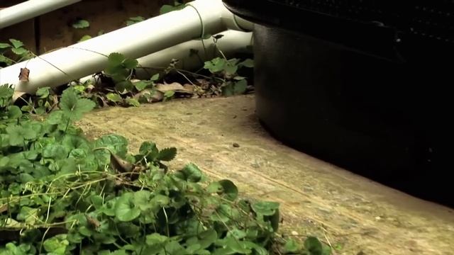 Waterco ElectroHeat - Installation WMV