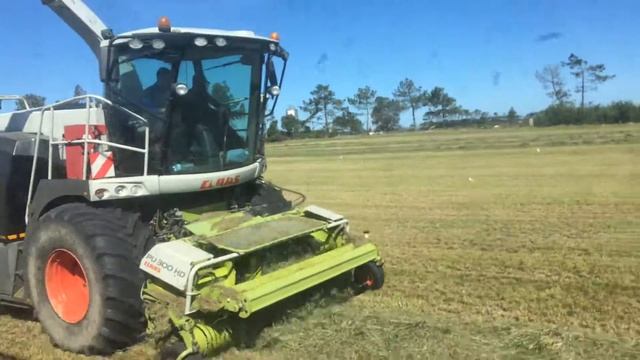 CLAAS JAGUAR 960 & PU 300 HD & FENDT 818 | MAQUIFATACA PORTUGAL смотреть онлайн