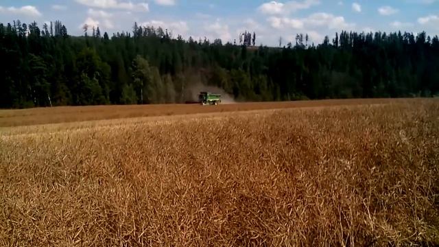 Žně 2017 řepka/rzepak - John Deere T660,T670,T670,new holland case смотреть онлайн