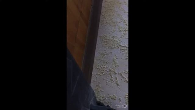 Майся играет смотреть онлайн