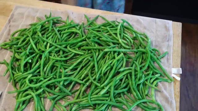 Preserving Food Every Day ~ Cellar Update #everybitcountschallenge смотреть онлайн
