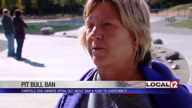 Group may challenge citations under Fairfield's pit bull ban in court смотреть онлайн
