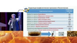 Как организовать селекционную и племенную работу на пасеке? (Анна Брандорф, Апиглобал 2025)