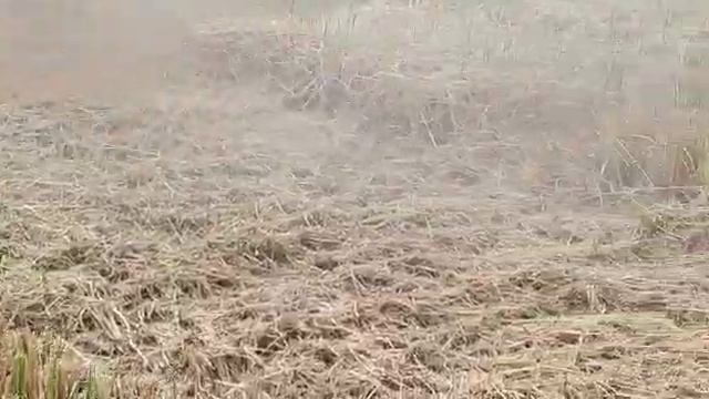 WPG Orsi Merkat Agri Trincia Mulcher Trituradora смотреть онлайн