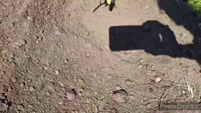 Немного продвинулись//Очередной выходной с посадками смотреть онлайн