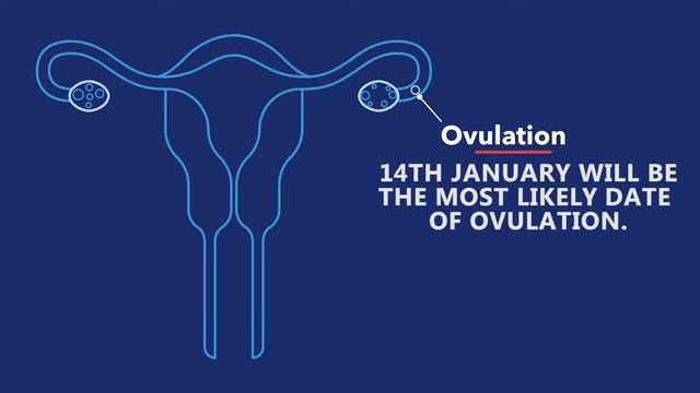 Time with Dr. Nita on Menstrual Cycle смотреть онлайн
