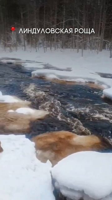 Живописное место с незамерзающей бурной рекой
