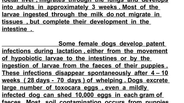 Roundworms in Dogs смотреть онлайн
