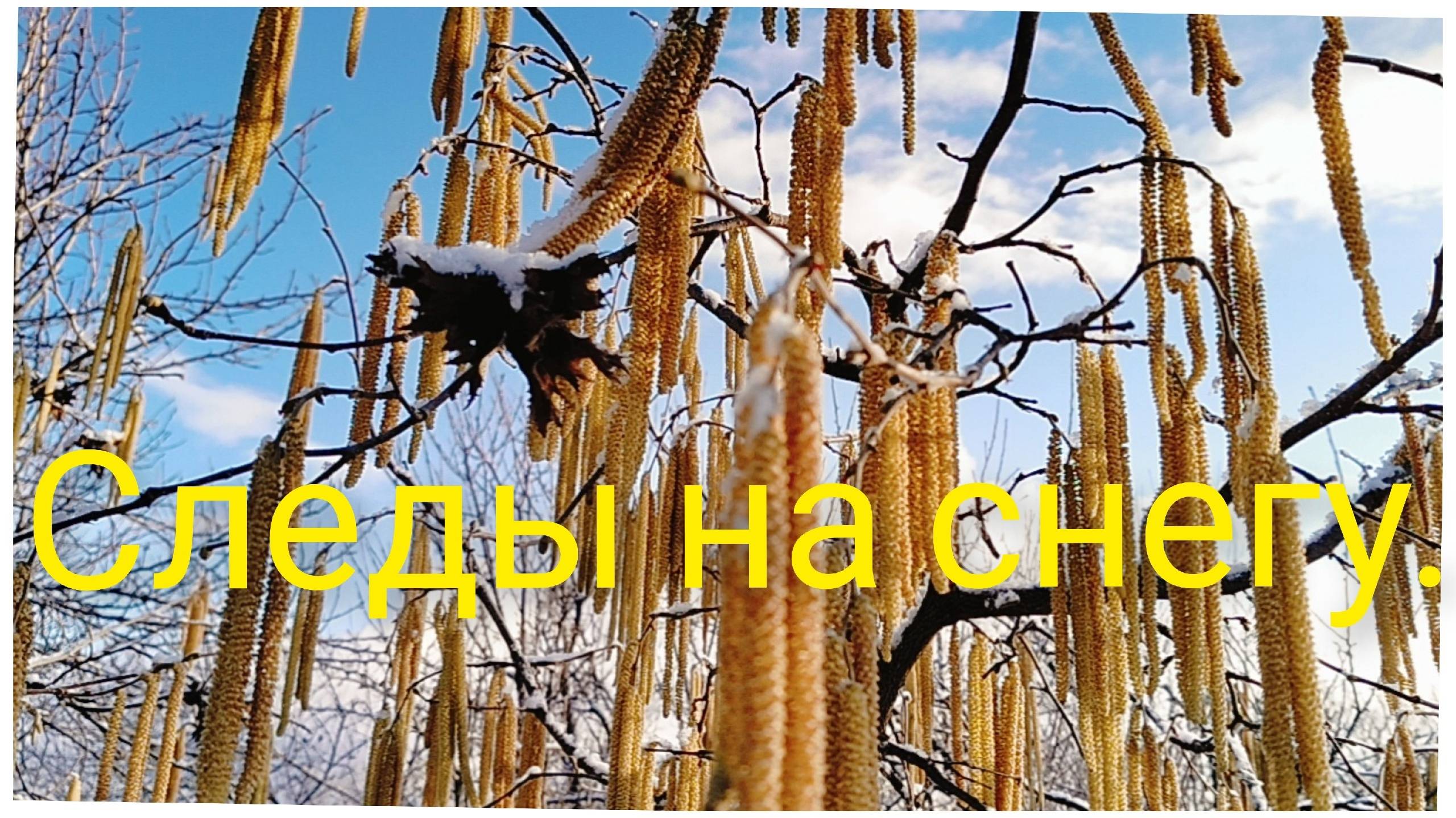 Следы на снегу.Босоногий мальчик.Увлечённо и с энтузиазмом смотреть онлайн