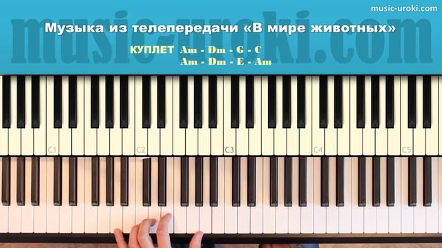 Учимся играть.mp4 смотреть онлайн