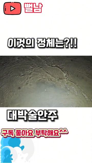 너무 쉽게 잡는거 아닌가요?!! смотреть онлайн