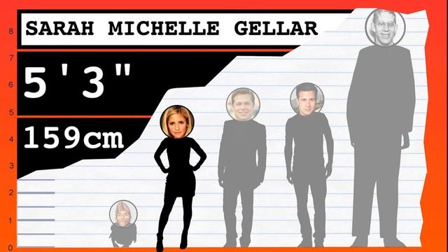 How Tall Is Freddie Prinze Jr.? - Height Comparison! смотреть онлайн