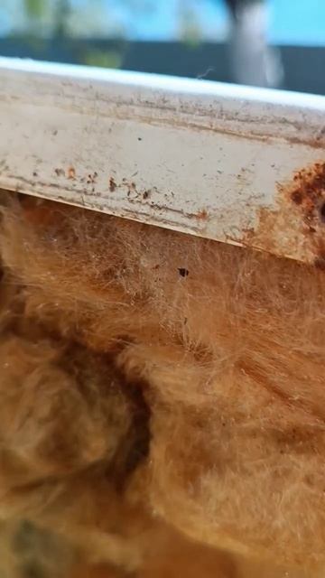 Холодильник, полный окурков #ностальгия#зил#москва#холодильник#дед#лайфхак