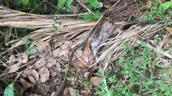 Peeing beautifully | Mr. pee | Boy Peeing in outside | pissing