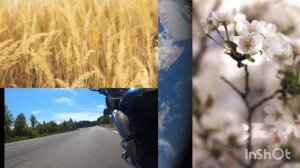 НАША ПЛАНЕТА ЗЕМЛЯ нам 10 лет