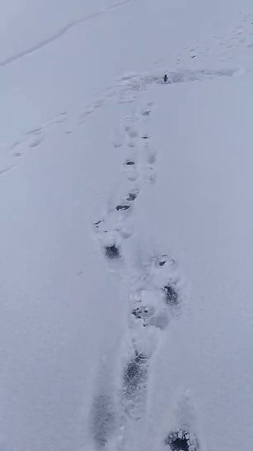 Щука на поставушки смотреть онлайн