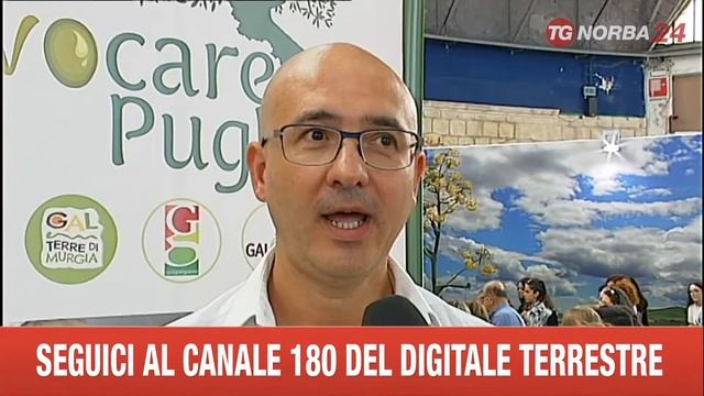 BARI GAL EVOCARE PUGLIA смотреть онлайн