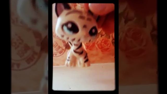 Посылка с алика и топ петов с узорами и пятнышками. смотреть онлайн