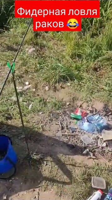 #лещ #фидер #рыба #рыбалка #плотва #рак #раки #окунь смотреть онлайн