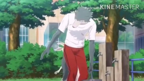 Beastars(AMV)- Sucker