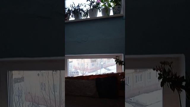 06-02-2025 смотреть онлайн