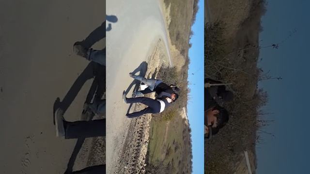 Быки на дороге смотреть онлайн