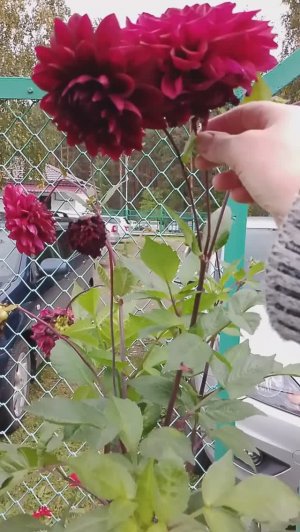 Санаторий "ТЕСЬ Солнечный" юг Красноярского края.