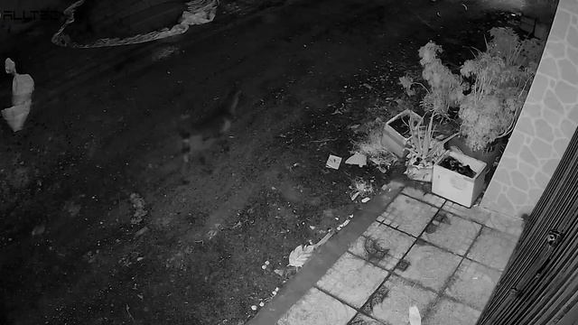 TP-Link Tapo C320WS | Outdoor Security Wi-Fi Camera смотреть онлайн