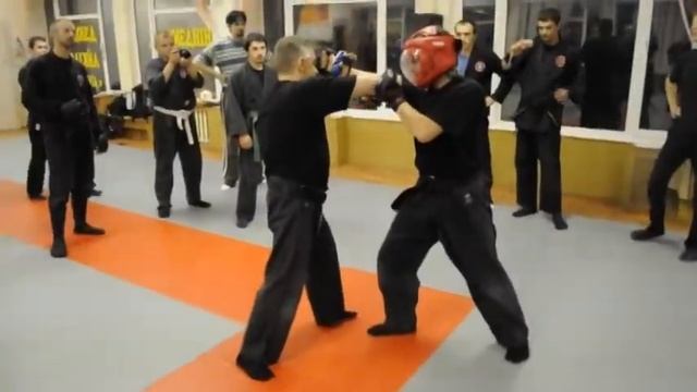 Bujinkan Gendai Goshinjutsu - Modern Self-Defence Seminar Shidoshi Momot. Kiev Ukraine, 6-8/09/2013 смотреть онлайн